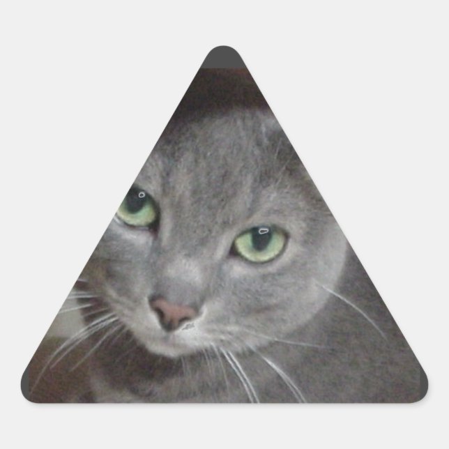 Russisch-graue Katze Dreieckiger Aufkleber (Vorderseite)