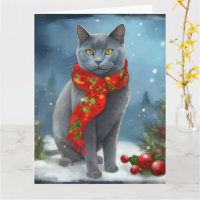 Russische Blaue Katze im Schnee Weihnachten