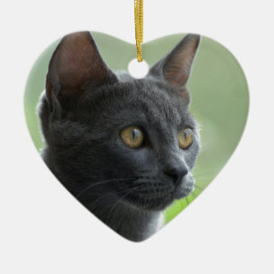 Russische blaue Katze Keramik Ornament