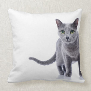 Russische blaue Katze Kissen