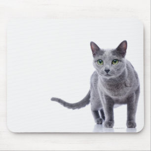 Russische blaue Katze Mousepad