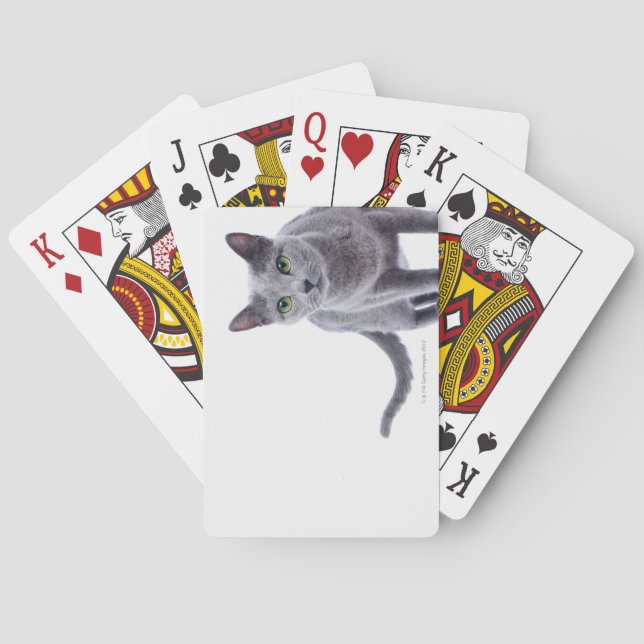 Russische blaue Katze Spielkarten (Rückseite)