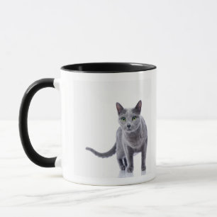 Russische blaue Katze Tasse