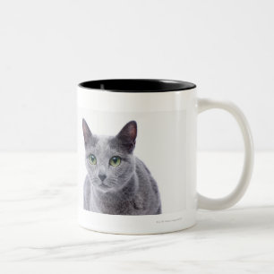 Russische blaue Katze Zweifarbige Tasse