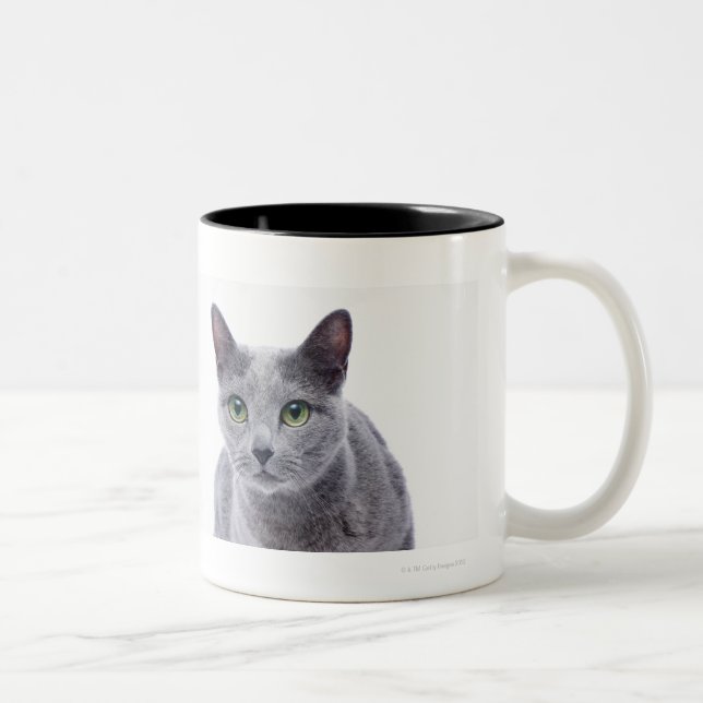 Russische blaue Katze Zweifarbige Tasse (Rechts)