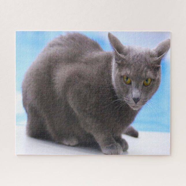Russische blaue Katzen. Puzzle (Horizontal)