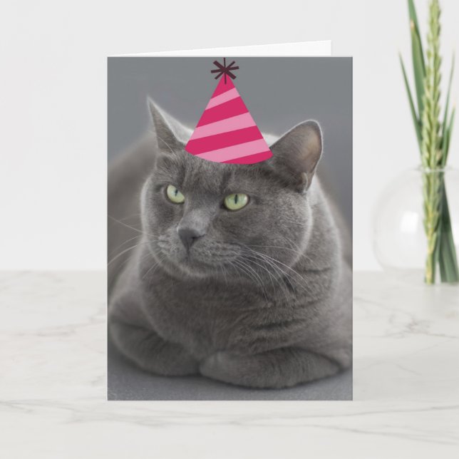 Russische Blue Cat Birthday Card Fokus für eine Sa Karte (Vorderseite)