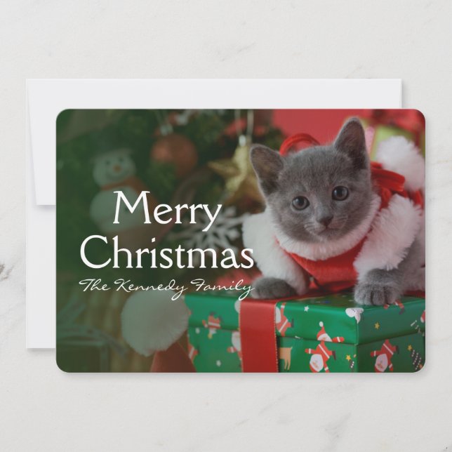 Russische Blue Kitten und Weihnachten (Vorderseite)