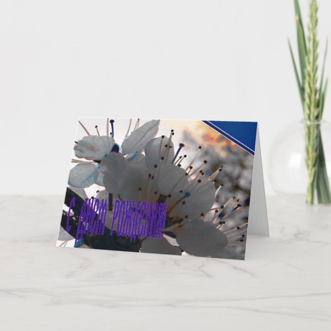 Russische Geburtstagskarte mit Kirsche Blume Karte (Vorderseite)