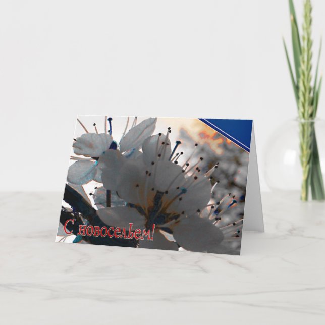 Russische Hauswartungskarte mit Kirschkirsche Blum Einladung (Vorderseite)