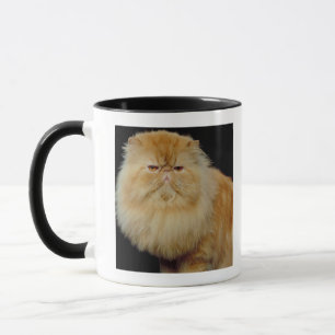 Russische lange Haar-Katze Tasse