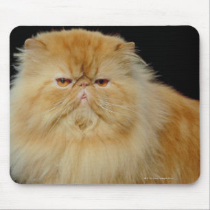 Russische Langhaarkatze Mousepad