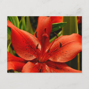 Russische Romantik Postkarte