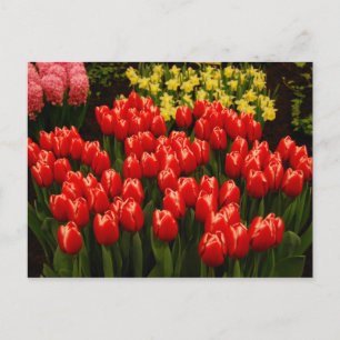 Russische Romantik Postkarte