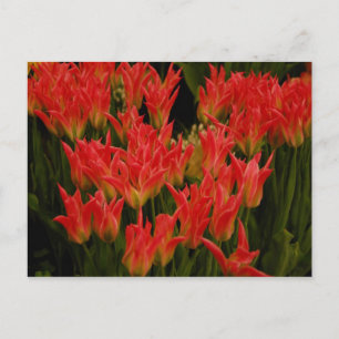 Russische Romantik Postkarte