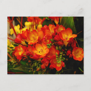 Russische Romantik Postkarte