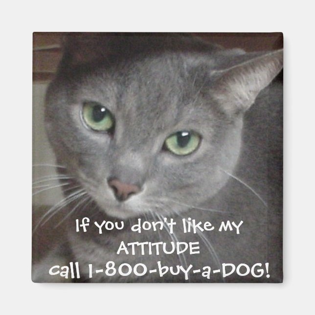 Russischer Blauer Grau Katze Attitude-Spaß Magnet (Vorne)