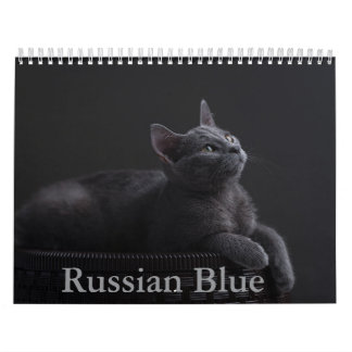 Russischer Kalender für die Blaue Katze