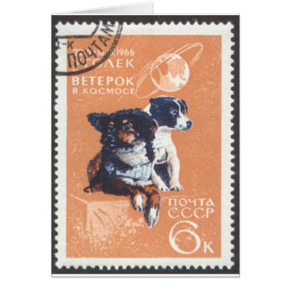 Russischer Raum verfolgt Kosmos 1966 110
