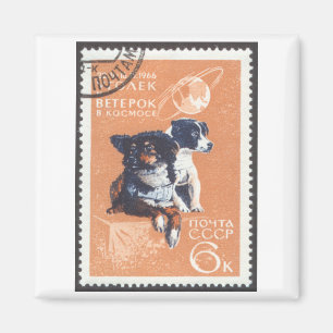 Russischer Raum verfolgt Kosmos 1966 110 Magnet