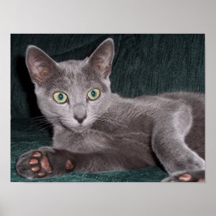 Russisches blaues Plakat