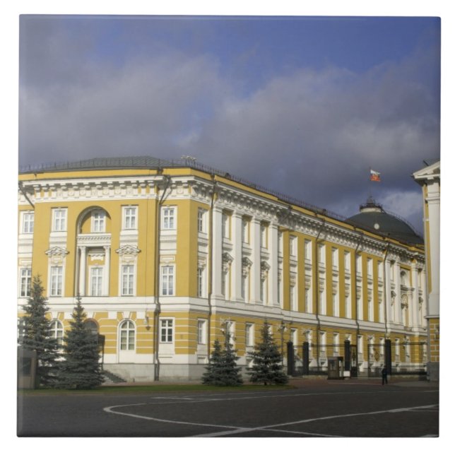 Russland, Moskau, Kreml, Senatspalast, Fliese (Vorderseite)