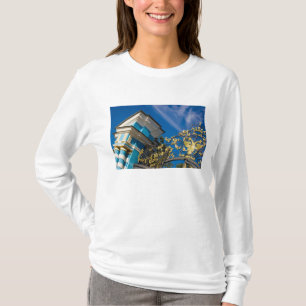 Russland, Pushkin. Tortürdetail und Stützturm T-Shirt