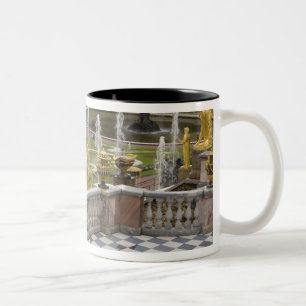 Russland, St. Petersburg, Peterhoff (alias Zweifarbige Tasse
