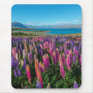 Russle Lupines in See Tekapo Neuseeland Mousepad