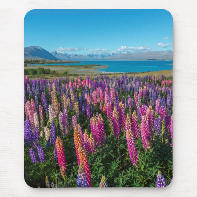 Russle Lupines in See Tekapo | Neuseeland Mousepad (Vorne)