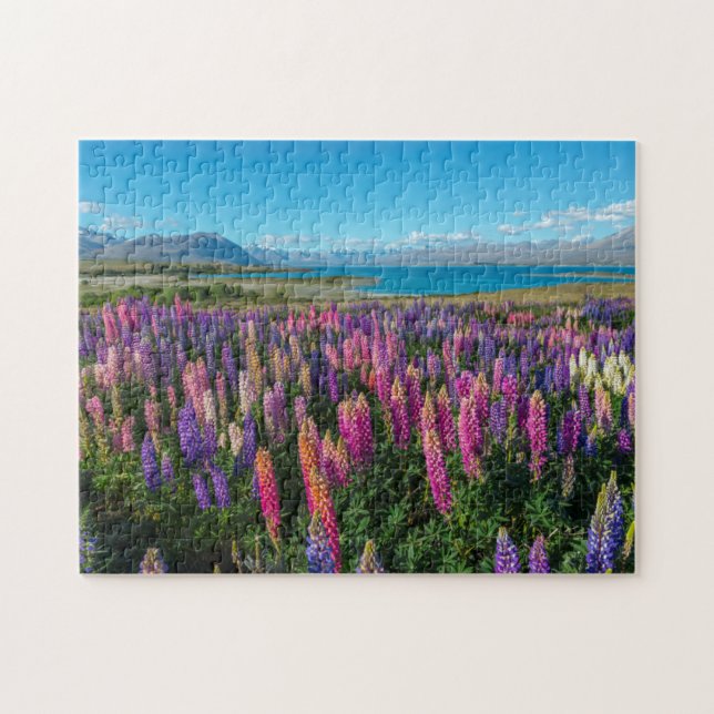 Russle Lupines in See Tekapo | Neuseeland Puzzle (Horizontal)