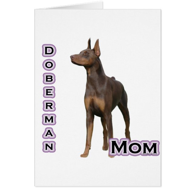 Rust Doberman Mama 4 (Vorne)