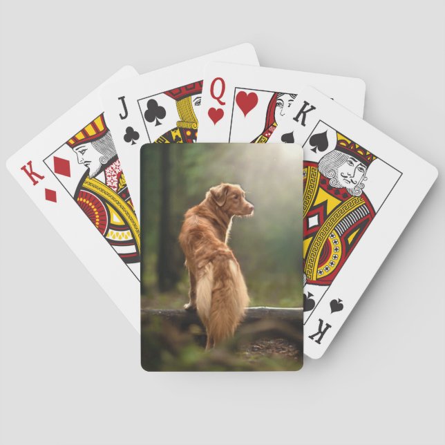Rust Retriever von Nova Scotia Spielkarten (Rückseite)
