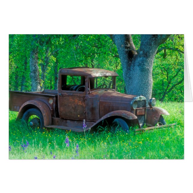 Rusted truck in a meadow (Vorderseite (Horizontal))