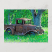 Rusted truck in a meadow