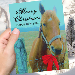 Rustic Blue Christmas Horse Red Bow Feiertagspostkarte