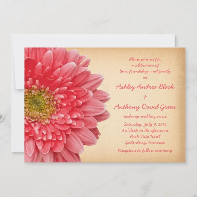 Rustic Coral Gerbera Daisy Wedding Einladung (Vorderseite)