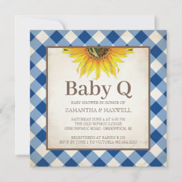 Rustic Gingham Schachbrett Baby Showroom Einladung