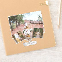 Rustic Heart Monogram Fotos Wedding Brautparty