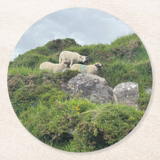 Rustic Ireland Three Irish Sheep Runder Pappuntersetzer