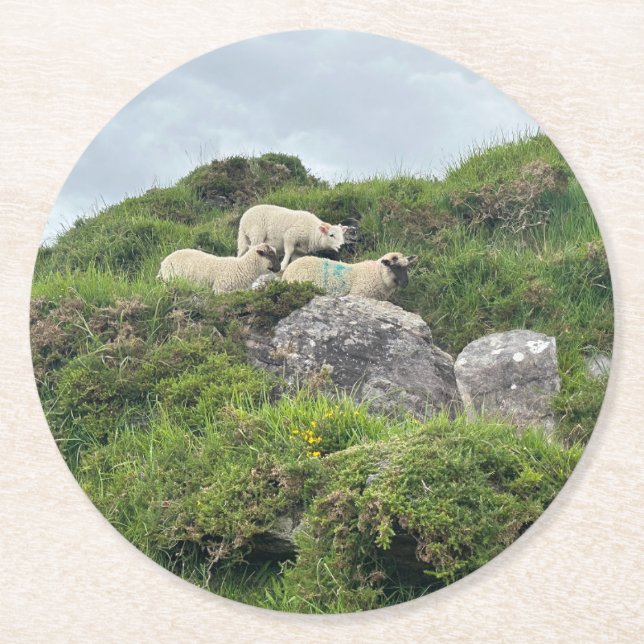 Rustic Ireland Three Irish Sheep Runder Pappuntersetzer (Vorderseite)