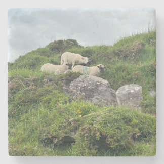 Rustic Ireland Three Irish Sheep Steinuntersetzer