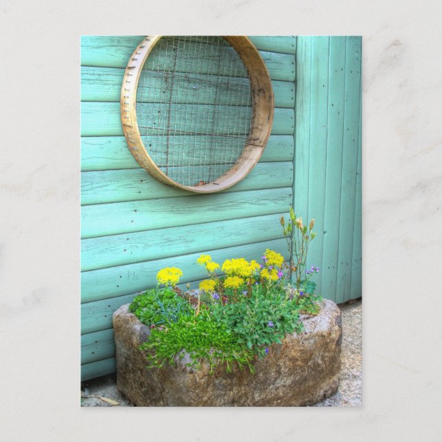 Rustic Mini Garden Postkarte (Vorderseite)