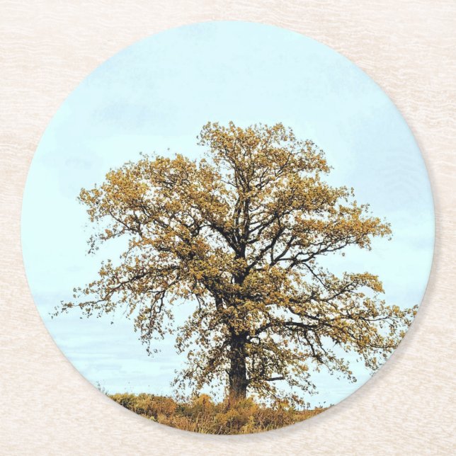 Rustic Oak Tree Autumn Wedding Runder Pappuntersetzer (Vorderseite)