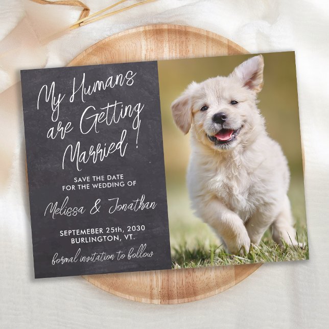 Rustic Pet Wedding Custom Photo Dog Save The Date  Ankündigungspostkarte (Von Creator hochgeladen)