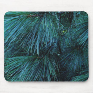 Rustic Pine trees pine forest green conifers Mousepad