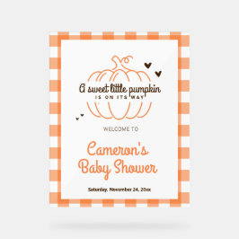 Rustic Pumpkin Boy and Girl Baby Dusche Willkommen Acrylschild