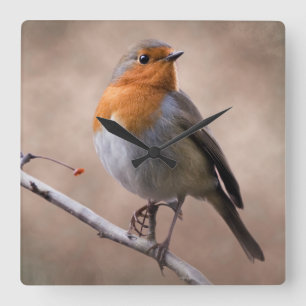 Rustic Robin Clock Quadratische Wanduhr