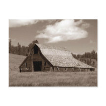 Rustic Weathered Barn Sephia Postcard