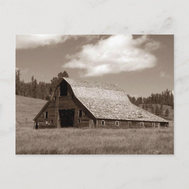 Rustic Weathered Barn Sephia Postcard Postkarte (Vorderseite)
